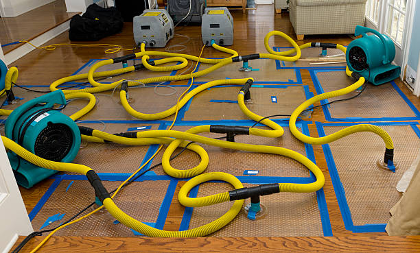 Professional Flood Damage Restoration technician working in Fleetwood, PA